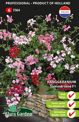 Geranium Summertime F1 (Pelargonium peltatum) 8 seeds